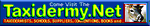 Taxidermy Net Taxidermy.net